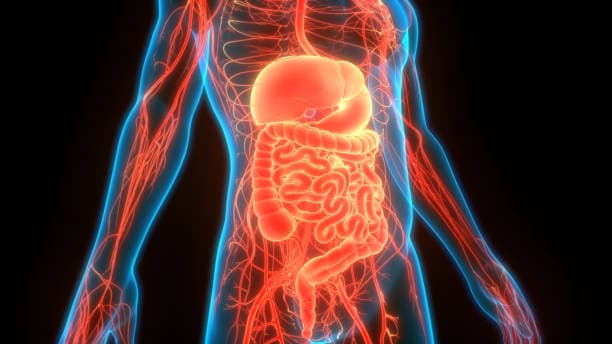 Department of Gastroenterology