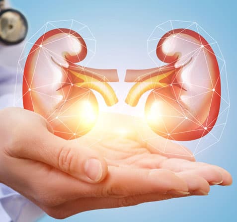 Department of Nephrology