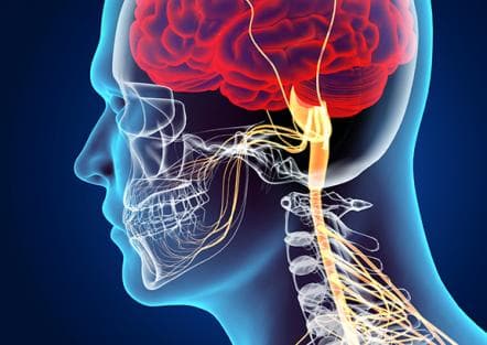 Department of Neuromedicine